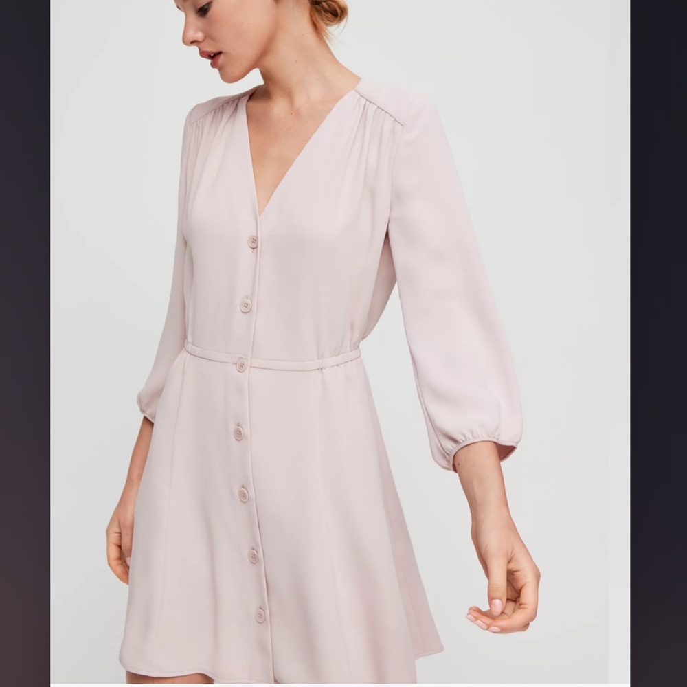 Aritzia babaton day dress